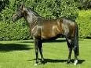 таван эрдэнэ 03.10