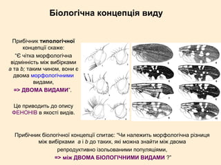 Біологічна концепція виду
Прибічник типологічної
концепції скаже:
“Є чітка морфологічна
відмінність між вибірками
а та b; таким чином, вони є
двома морфологічними
видами,
=> ДВОМА ВИДАМИ”.
Це приводить до опису
ФЕНОНІВ в якості видів.
Прибічник біологічної концепції спитає: “Чи належить морфологічна різниця
між вибірками а і b до таких, які можна знайти між двома
репродуктивно ізольованими популяціями,
=> між ДВОМА БІОЛОГІЧНИМИ ВИДАМИ ?”
 