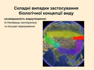 Складні випадки застосування
біологічної концепції виду
незавершеність видоутворення:
4) Напіввиди (semispecies)
та кільцеві перекривання
 