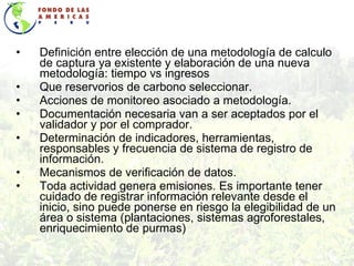 Definición entre elección de una metodología de calculo de captura ya existente y elaboración de una nueva metodología: tiempo vs ingresos Que reservorios de carbono seleccionar. Acciones de monitoreo asociado a metodología. Documentación necesaria van a ser aceptados por el validador y por el comprador. Determinación de indicadores, herramientas, responsables y frecuencia de sistema de registro de información. Mecanismos de verificación de datos. Toda actividad genera emisiones. Es importante tener cuidado de registrar información relevante desde el inicio, sino puede ponerse en riesgo la elegibilidad de un área o sistema (plantaciones, sistemas agroforestales, enriquecimiento de purmas) 