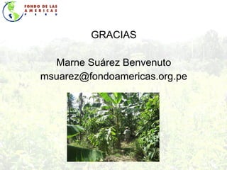 GRACIAS Marne Suárez Benvenuto [email_address] 