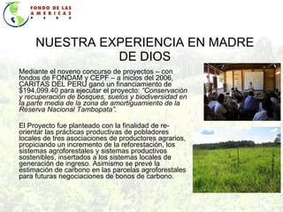NUESTRA EXPERIENCIA EN MADRE DE DIOS Mediante el noveno concurso de proyectos – con fondos de FONDAM y CEPF – a inicios del 2006, CARITAS DEL PERU ganó un financiamiento de $194,099.40 para ejecutar el proyecto:  “Conservación y recuperación de bosques, suelos y biodiversidad en la parte media de la zona de amortiguamiento de la Reserva Nacional Tambopata”. El Proyecto fue planteado con la finalidad de re-orientar las prácticas productivas de pobladores locales de tres asociaciones de productores agrarios, propiciando un incremento de la reforestación, los sistemas agroforestales y sistemas productivos sostenibles, insertados a los sistemas locales de generación de ingreso. Asimismo se prevé la estimación de carbono en las parcelas agroforestales para futuras negociaciones de bonos de carbono. 