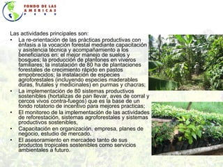 Las actividades principales son: La re-orientación de las prácticas productivas con énfasis a la vocación forestal mediante capacitación  y asistencia técnica y acompañamiento a los  beneficiarios en: el mejor manejo de suelos y bosques; la producción de plantones en viveros familiares; la instalación de 80 ha de plantaciones forestales de crecimiento rápido en pastos empobrecidos; la instalación de especies agroforestales (incluyendo especies maderables duras, frutales y medicinales) en purmas y chacras;  La implementación de 80 sistemas productivos sostenibles (hortalizas de pan llevar, aves de corral y cercos vivos contra-fuegos) que es la base de un fondo rotatorio de incentivo para mejores practicas;  El monitoreo de la implementación de las actividades de reforestación, sistemas agroforestales y sistemas productivos sostenibles,  Capacitación en organización, empresa, planes de negocio, estudio de mercado. El asesoramiento en mercadeo tanto de sus productos tropicales sostenibles como servicios ambientales a futuro. 