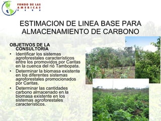 ESTIMACION DE LINEA BASE PARA ALMACENAMIENTO DE CARBONO OBJETIVOS DE LA CONSULTORIA Identificar los sistemas agroforestales característicos entre los promovidos por Caritas en la cuenca del rió Tambopata. Determinar la biomasa existente en los diferentes sistemas agroforestales promocionados por Caritas. Determinar las cantidades carbono almacenado en la biomasa existente en los sistemas agroforestales característicos.  