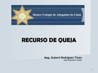 RECURSO DE QUEJA

      Mag. Duberlí Rodríguez Tineo
                    Juez Supremo Titular




                                           1
 