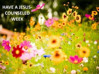 HAVE A JESUS-
COUNSELED
WEEK
 