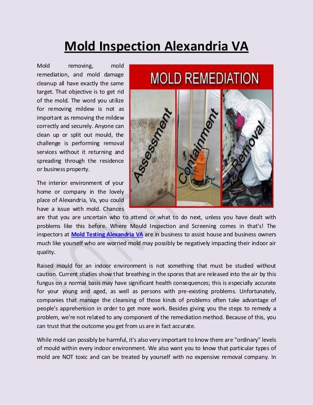 Mold Inspection Alexandria VA