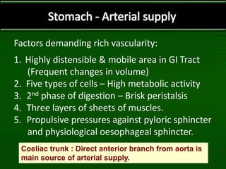 Factors demanding rich vascularity:
1. Highly distensible & mobile area in GI Tract
(Frequent changes in volume)
2. Five types of cells – High metabolic activity
3. 2nd phase of digestion – Brisk peristalsis
4. Three layers of sheets of muscles.
5. Propulsive pressures against pyloric sphincter
and physiological oesophageal sphincter.
Coeliac trunk : Direct anterior branch from aorta is
main source of arterial supply.
 