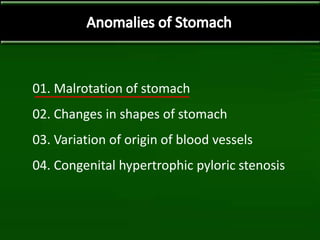 01. Malrotation of stomach
02. Changes in shapes of stomach
03. Variation of origin of blood vessels
04. Congenital hypertrophic pyloric stenosis
 