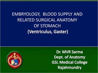 EMBRYOLOGY, BLOOD SUPPLY AND
RELATED SURGICAL ANATOMY
OF STOMACH
 