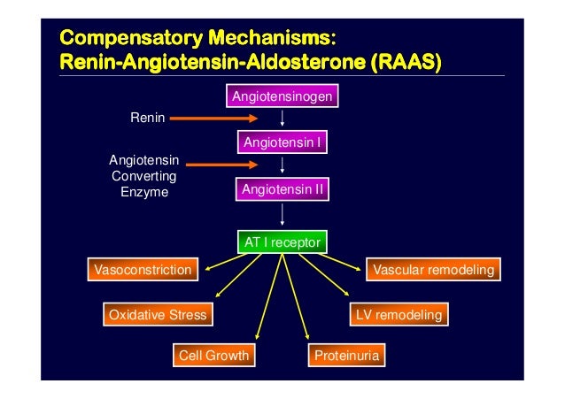 Recent Updated Pathogenesis and Management of Heart Failure: