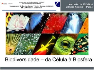 Corrida Espacial
Biodiversidade – da Célula à Biosfera
Ano letivo de 2013-2014
Ciências Naturais – 3ºCiclo
 