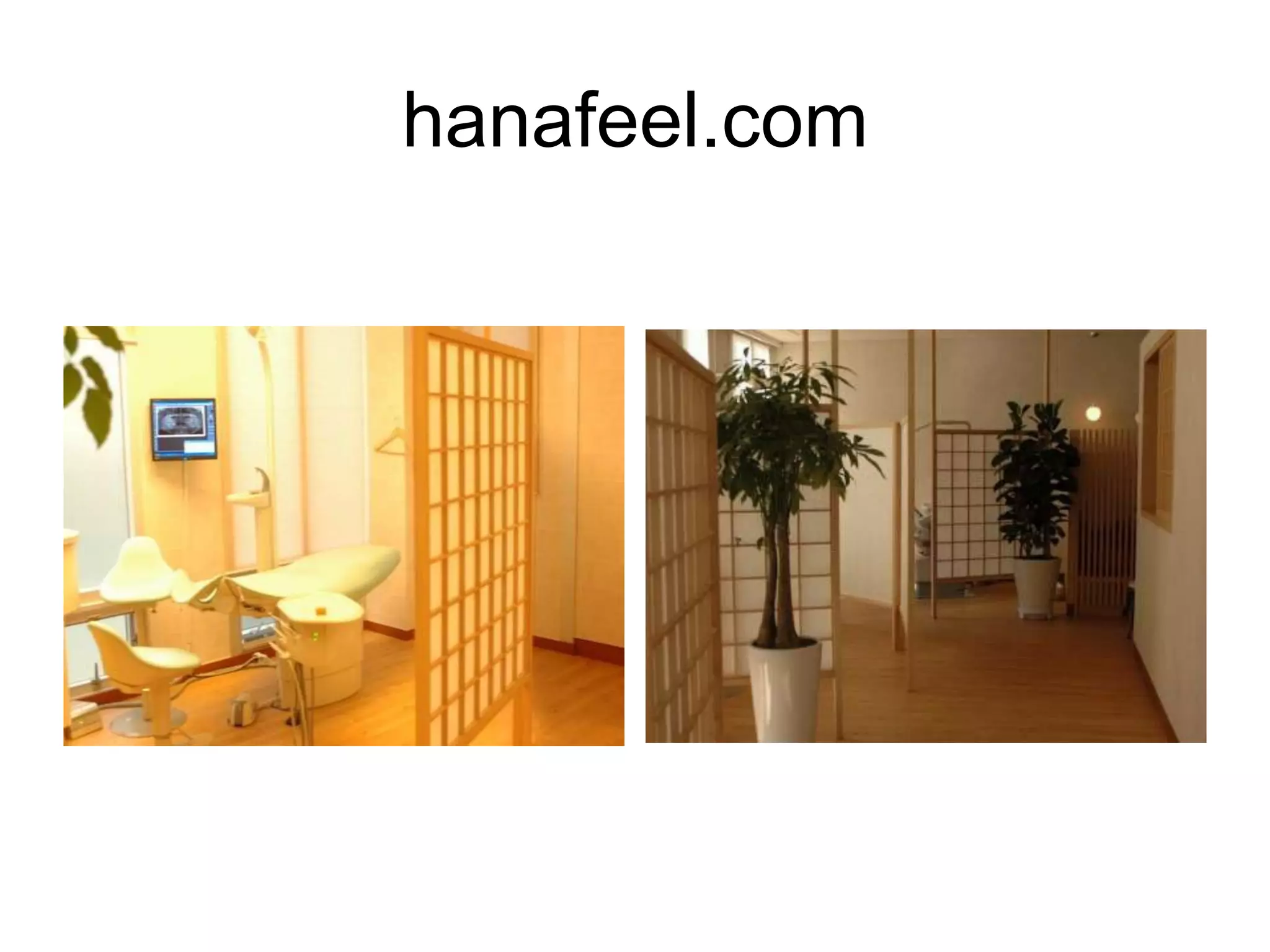 hanafeel.com

 