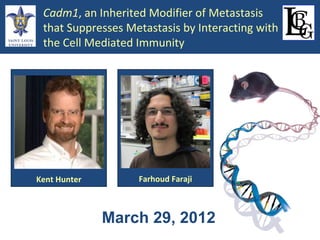 Cadm1, an Inherited Modifier of Metastasis
that Suppresses Metastasis by Interacting with
the Cell Mediated Immunity

Kent Hunter

Farhoud Faraji

March 29, 2012

 
