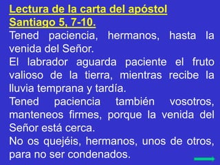 Lectura de la carta del apóstol
Santiago 5, 7-10.
Tened paciencia, hermanos, hasta la
venida del Señor.
El labrador aguard...