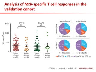 Analysis	
  of	
  Mtb-­‐speciﬁc	
  T	
  cell	
  responses	
  in	
  the	
  
valida;on	
  cohort	
  	
  
 