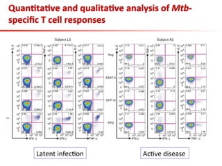 Quan;ta;ve	
  and	
  qualita;ve	
  analysis	
  of	
  Mtb-­‐
speciﬁc	
  T	
  cell	
  responses	
  
Latent	
  infec3on	
   Ac3ve	
  disease	
  
 