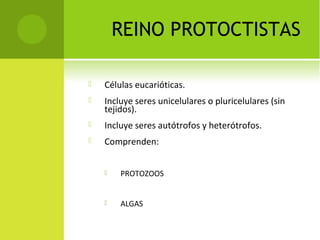 REINO PROTOCTISTAS
 Células eucarióticas.
 Incluye seres unicelulares o pluricelulares (sin
tejidos).
 Incluye seres autótrofos y heterótrofos.
 Comprenden:
 PROTOZOOS
 ALGAS
 