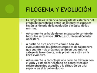 FILOGENIA Y EVOLUCIÓN
 La Filogenia es la ciencia encargada de establecer el
grado de parentesco entre las diferentes especies
según la historia de la evolución biológica de las
mismas.
 Actualmente se habla de un antepasado común de
todos los seres vivos LUCA (Last Universal Cellular
Ancester).
 A partir de este ancestro común han ido
evolucionando las distintas especies de tal manera
que cuanto más próximas estén en una misma
categoría taxonómica, más próximas están en la
línea evolutiva.
 Actualmente la tecnología nos permite trabajar con
el ADN y establecer el grado de parentesco que
existe entre dos especies o la situación de una
especie en el árbol evolutivo.
 