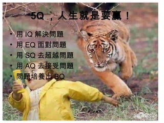 5Q，人生就是要贏！ 
• 用IQ解決問題 
• 用EQ面對問題 
• 用SQ去超越問題 
• 用AQ去接受問題 
• 問題培養出BQ 
 