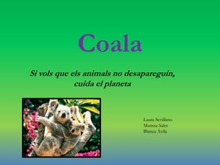 Coala
Si vols que els animals no desapareguin,
cuida el planeta
Laura Sevillano
Muntsa Sales
Blanca Ávila
 