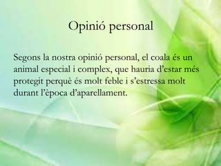 Opinió personal
Segons la nostra opinió personal, el coala és un
animal especial i complex, que hauria d’estar més
protegit perquè és molt feble i s’estressa molt
durant l’època d’aparellament.
 