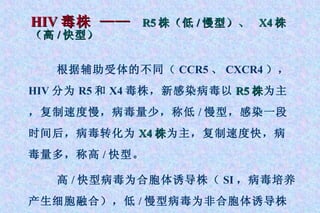 HIV 毒株 ——  R5 株（低 / 慢型）、  X4 株（高 / 快型） 根据辅助受体的不同（ CCR5 、 CXCR4 ），  HIV 分为 R5 和 X4 毒株，新感染病毒以 R5 株 为主，复制速度慢，病毒量少，称低 / 慢型，感染一段时间后，病毒转化为 X4 株 为主，复制速度快，病毒量多，称高 / 快型。 高 / 快型病毒为合胞体诱导株（ SI ，病毒培养产生细胞融合），低 / 慢型病毒为非合胞体诱导株（ NSI ）。 