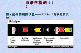 血清学检测 （１） HIV 抗体的初筛试验 —— ELISA （酶联免疫试验） 