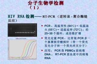 分子生物学检测 （ 1 ） HIV RNA 检测 —— RT-PCR （逆转录 - 聚合酶链反应） PCR ：高温变性 (94℃) -> 低温退火 (55℃) -> 适温延伸 (72℃) ；经 25~30 个循环，成倍数扩增 荧光定量 PCR ：比常规 PCR 多一个寡聚核苷酸探针（带一个荧光发光分子和一个荧光淬灭分子） 应用： PCR 查 PBMCs 前病毒 DNA ； RT-PCR 查血浆中的病毒 RNA 