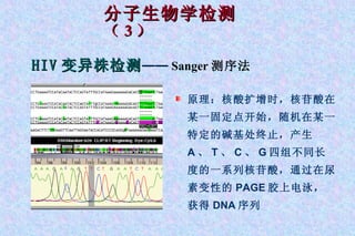 分子生物学检测 （ 3 ） HIV 变异株检测 —— Sanger 测序法 原理：核酸扩增时，核苷酸在某一固定点开始，随机在某一特定的碱基处终止，产生 A 、 T 、 C 、 G 四组不同长度的一系列核苷酸，通过在尿素变性的 PAGE 胶上电泳，获得 DNA 序列 