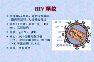 单链 RNA 病毒，逆转录病毒科 - 慢病毒亚科 - 人类慢病毒组 球型 20 面体，直径 100 ～ 120 nm ，双层结构 包膜： gp120 、 gP41 核心： P24 包裹两条正链 RNA 、逆转录酶 (RT) 、整合酶 (INT) 和蛋白酶 (PI, P10) 分为 Ⅰ型和Ⅱ型 HIV 颗粒 