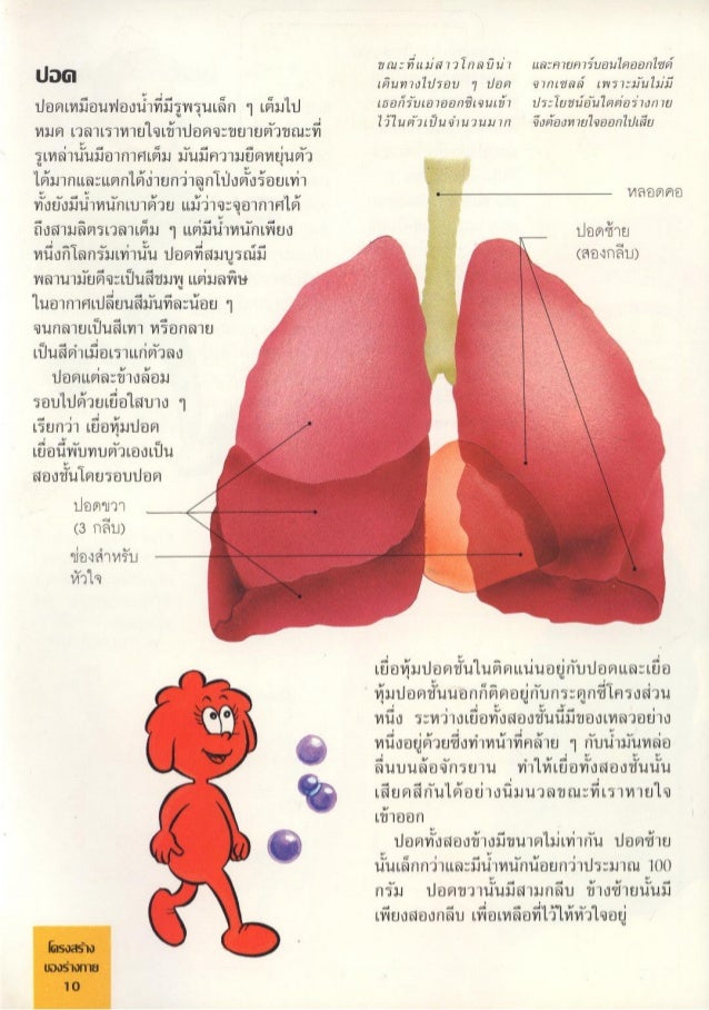 จ กรกลของร างกาย 03 การหายใจ