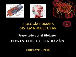 1
BIOLOGÍA HUMANA
SISTEMA MUSCULAR
Presentado por el Biólogo:
EDWIN LUIS UCEDA BAZÁN
CHICLAYO - PERÚ
 