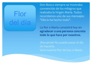 Don Bosco siempre se mostraba
convencido de los milagros que
realizaba la Virgen María. Todos
recordamos uno de sus mensajes:
"Ella lo ha hecho todo".
La flor a María consistirá hoy en
agradecer a una persona concreta
todo lo que hace por nosotros.
¡Recuerda! No puede pasar el día
sin hacerlo.
Será nuestra flor de hoy a María.
Flor
del día
 