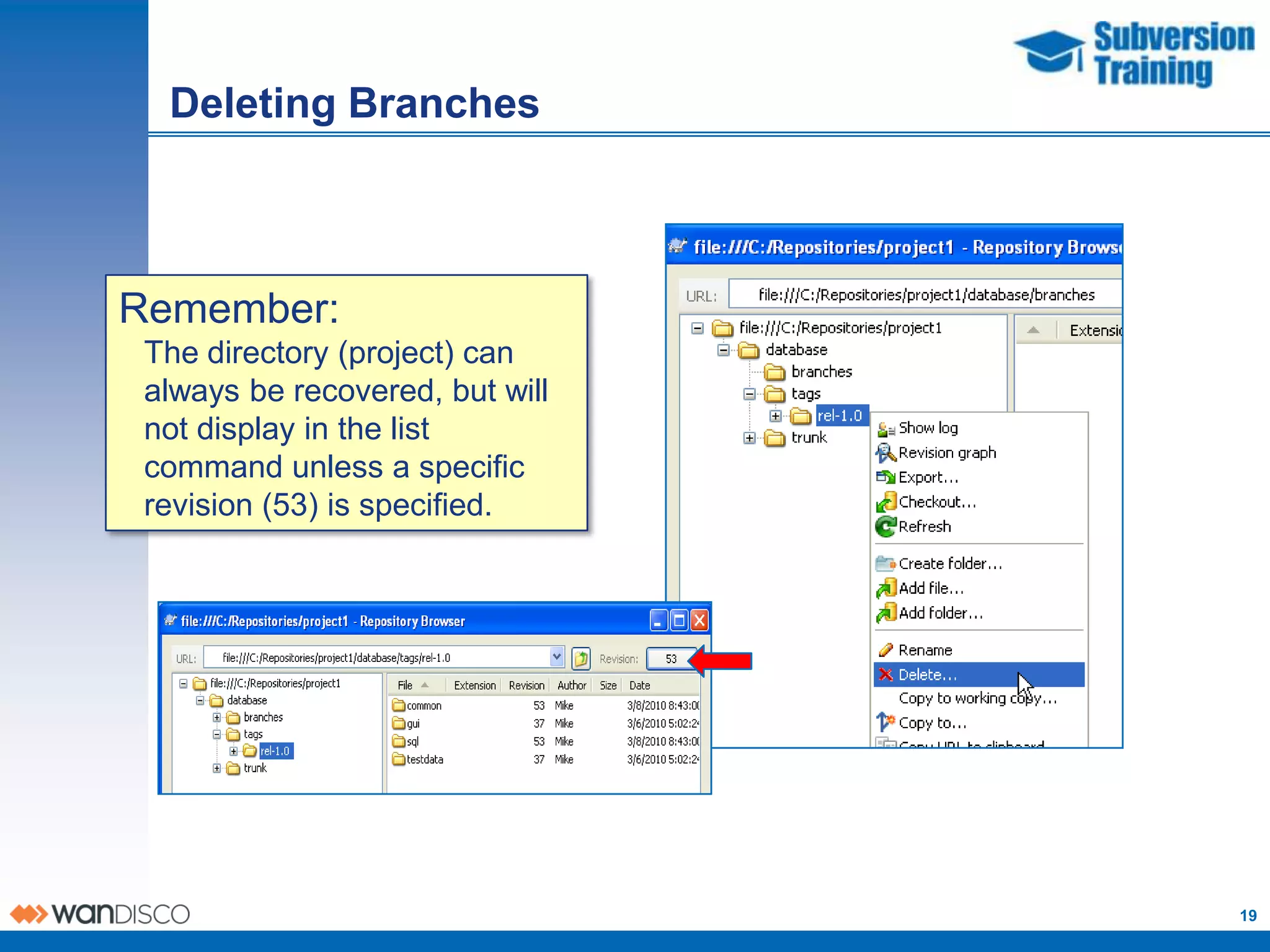 Deleting Branches



Remember:
 The directory (project) can
 always be recovered, but will
 not display in the list
 command unless a specific
 revision (53) is specified.




                                 19
 