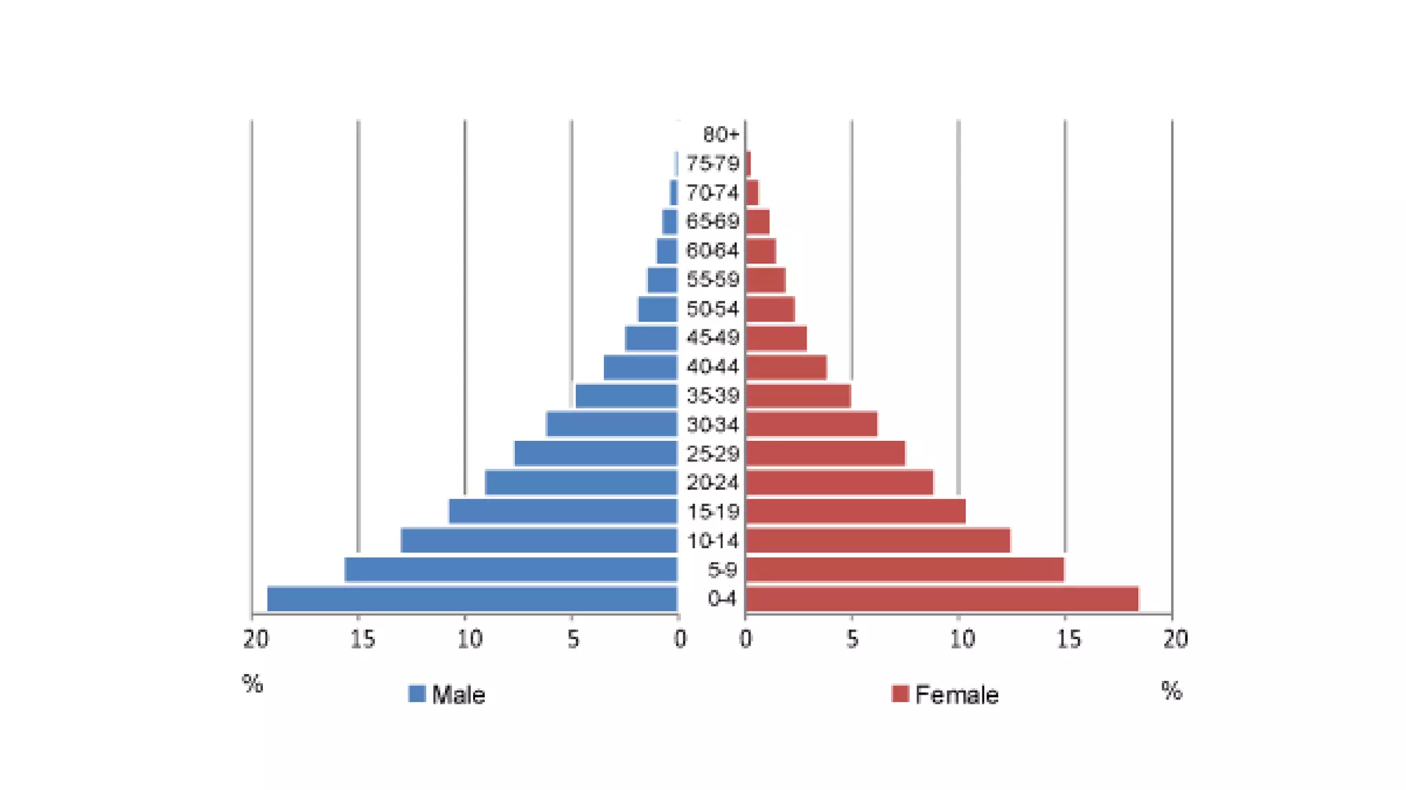 GEOGRAPHY IGCSE: POPULATION STRUCTURE | PPTX