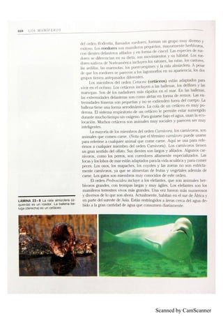 Scanned by CamScanner
 