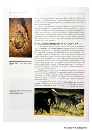 Scanned by CamScanner
 