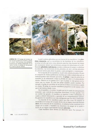 Scanned by CamScanner
 