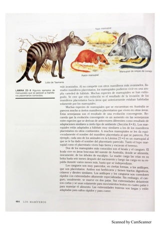 Scanned by CamScanner