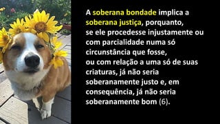 A soberana bondade implica a
soberana justiça, porquanto,
se ele procedesse injustamente ou
com parcialidade numa só
circunstância que fosse,
ou com relação a uma só de suas
criaturas, já não seria
soberanamente justo e, em
consequência, já não seria
soberanamente bom (6).
 