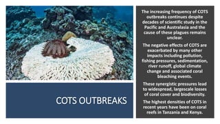A2 CAMBRIDGE GEOGRAPHY: COASTAL ENVIRONMENTS - CORAL REEFS | PPTX
