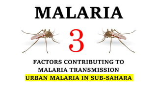 MALARIA
FACTORS CONTRIBUTING TO
MALARIA TRANSMISSION
URBAN MALARIA IN SUB-SAHARA
 