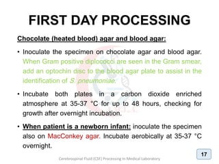 FIRST DAY PROCESSING
Chocolate (heated blood) agar and blood agar:
• Inoculate the specimen on chocolate agar and blood agar.
When Gram positive diplococci are seen in the Gram smear,
add an optochin disc to the blood agar plate to assist in the
identification of S. pneumoniae.
• Incubate both plates in a carbon dioxide enriched
atmosphere at 35-37 °C for up to 48 hours, checking for
growth after overnight incubation.
• When patient is a newborn infant: inoculate the specimen
also on MacConkey agar. Incubate aerobically at 35-37 °C
overnight.
Cerebrospinal Fluid (CSF) Processing In Medical Laboratory
17
 
