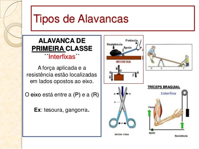Alavanca Interfixa Inter Resistente E Interpotente Exemplos