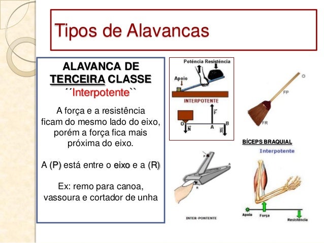 alavanca e sistemas osteo