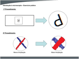 1º Procedimento:
2º Procedimento:
Introdução à microscopia – Exercício prático
Menor Ampliação Maior Ampliação
 