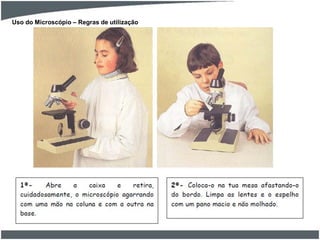 Uso do Microscópio – Regras de utilização
 