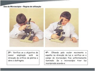 Uso do Microscópio – Regras de utilização
 