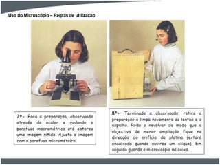 Uso do Microscópio – Regras de utilização
 